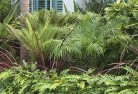 Bonnie Doon VICtropical-landscaping-2.jpg; ?>