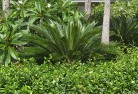 Bonnie Doon VICtropical-landscaping-4.jpg; ?>