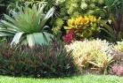 Bonnie Doon VICtropical-landscaping-9.jpg; ?>